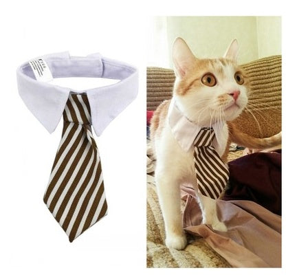 PewPew Pet tie