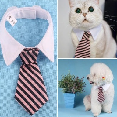 PewPew Pet tie